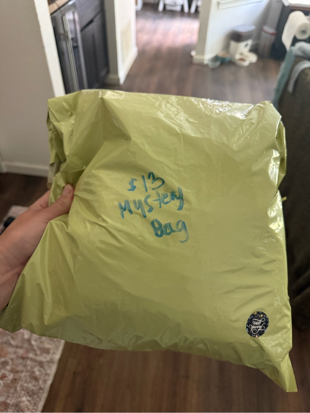 $13 Mystery Bag - for fun! ;)!